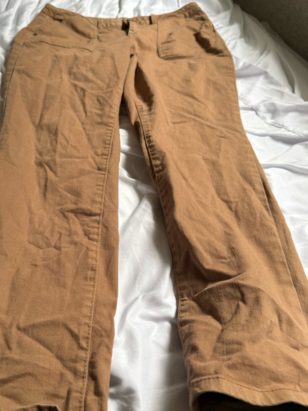 Time and Tru Men's Light Brown Chino Pants